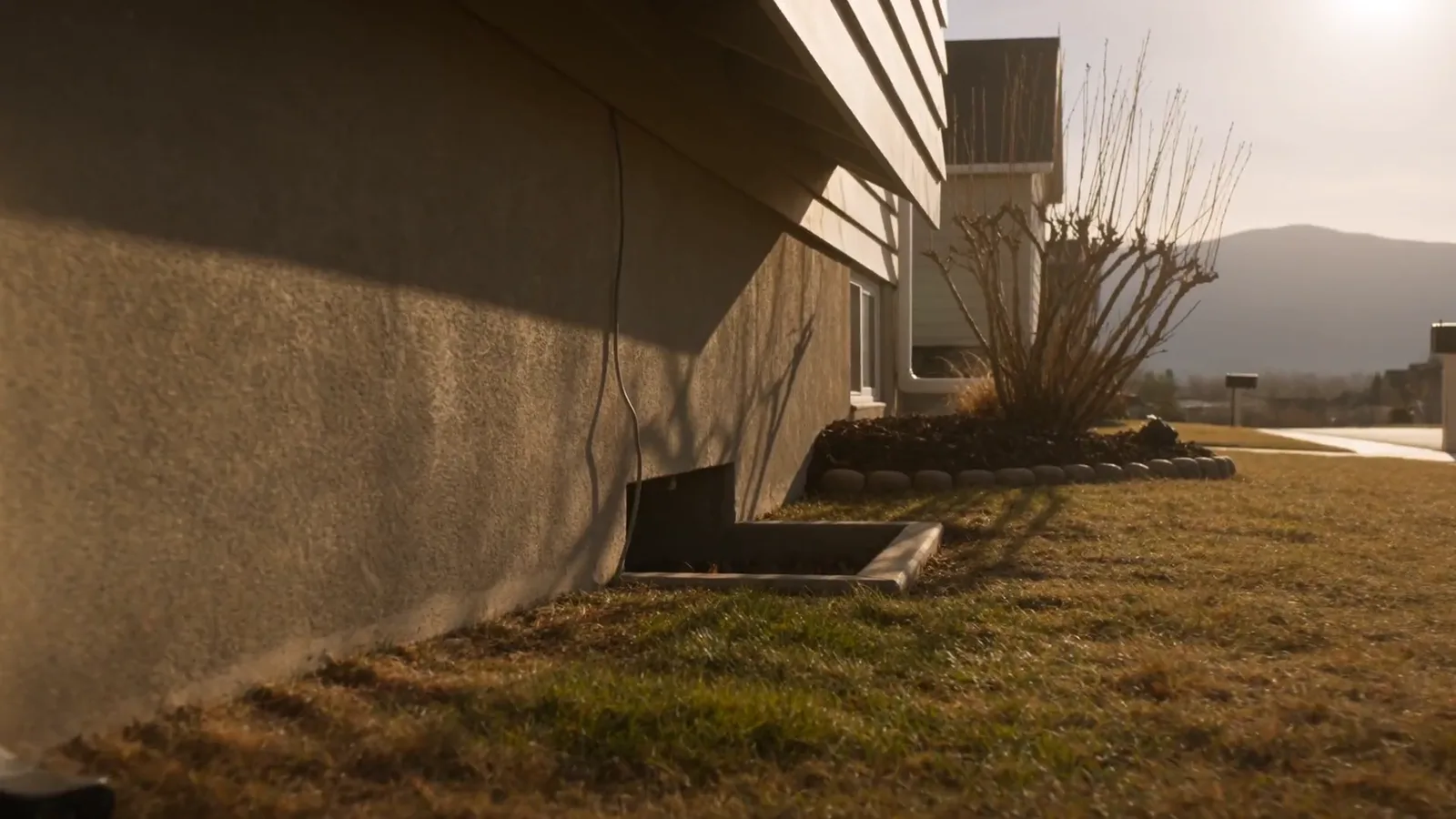 The foundation line and shrub bed along the side of a suburban home at golden hour